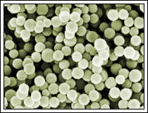 Complex Organic Chemical Industry