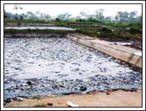 Ecological Sanitation