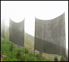 Fog harvesting in Chile