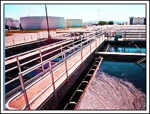 Primary Sewage Treatment