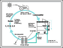 Technology of Ecological Sanitation